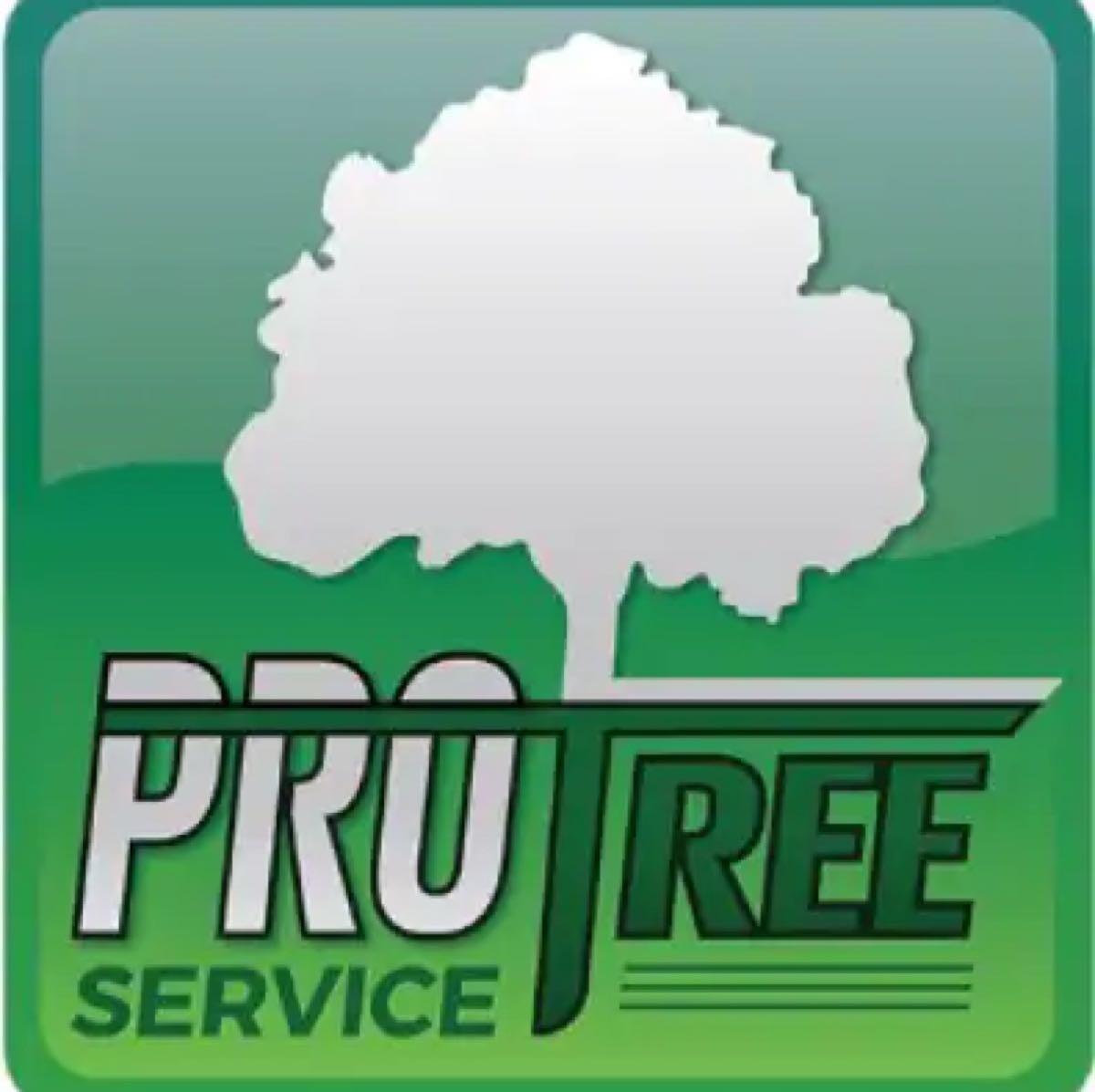 John's Pro Tree Service - Burbank, IL - Nextdoor