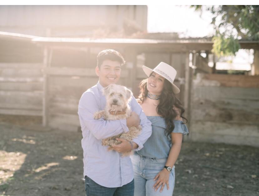 AAA Dog Boarding San Jose, CA Nextdoor