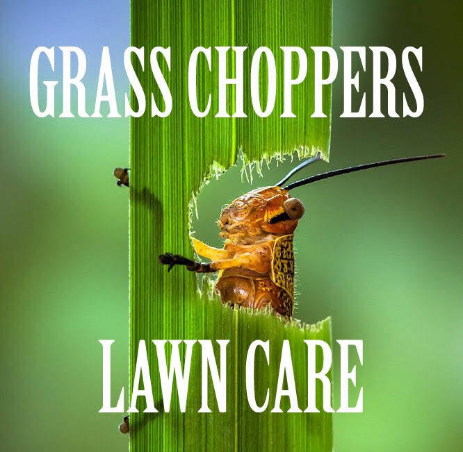 Grass Choppers Lawn Care Port St Lucie, FL Nextdoor