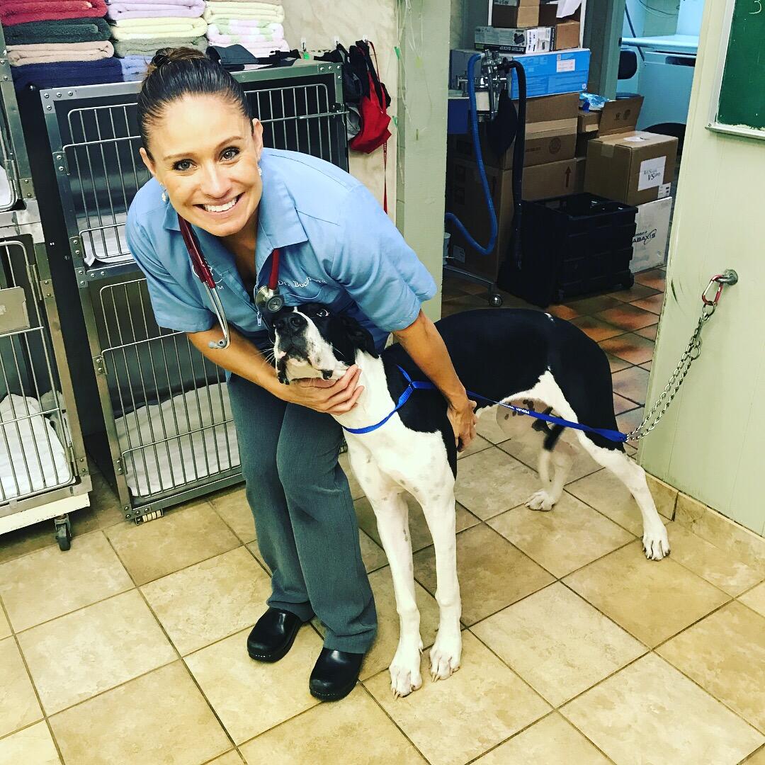 Dr. Veronica Bocanegra Mobile Vet Rancho Cucamonga, CA Nextdoor