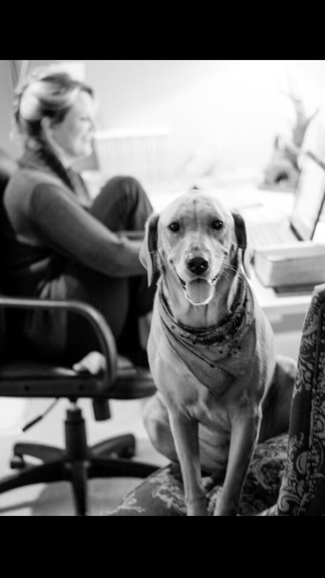 Mercer House Calls Car Detailing & Boat Interiors (925) 5018924 Mercer Island, WA Nextdoor