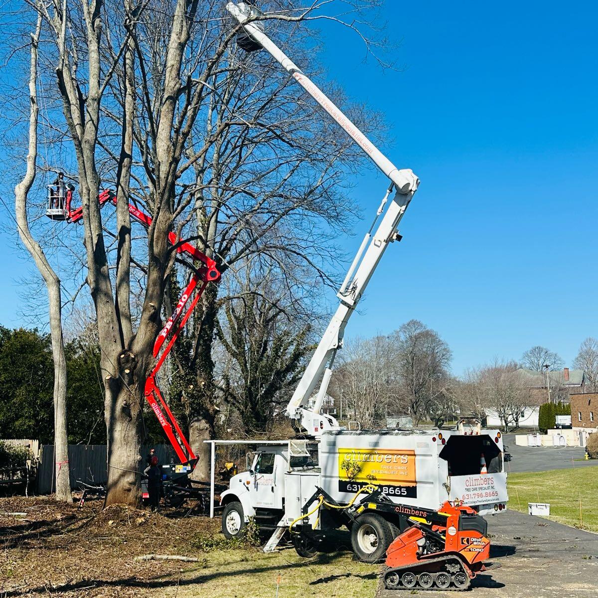 Climbers Tree Care Specialist East Hampton, NY Nextdoor