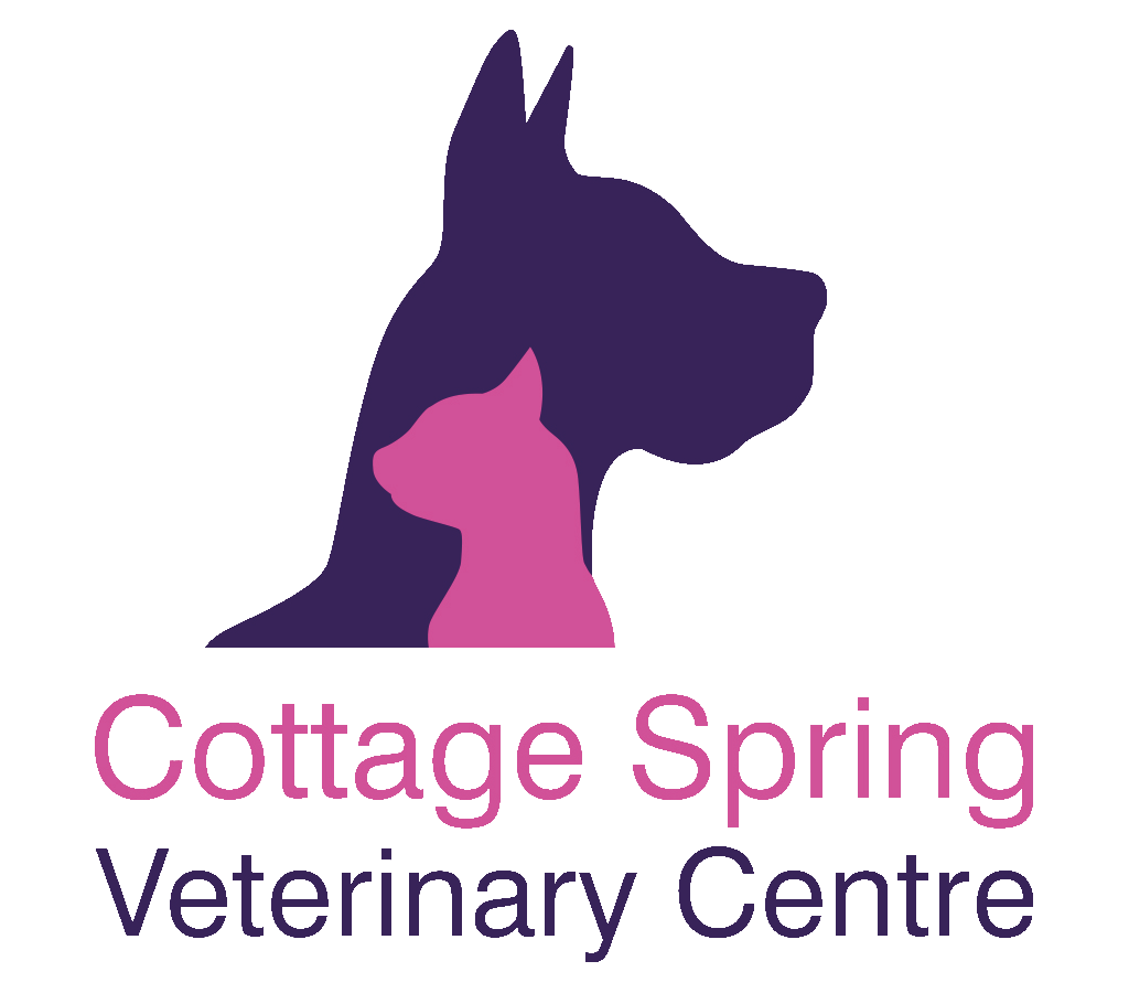 Cottage Spring Veterinary Centre Brierley Hill Nextdoor