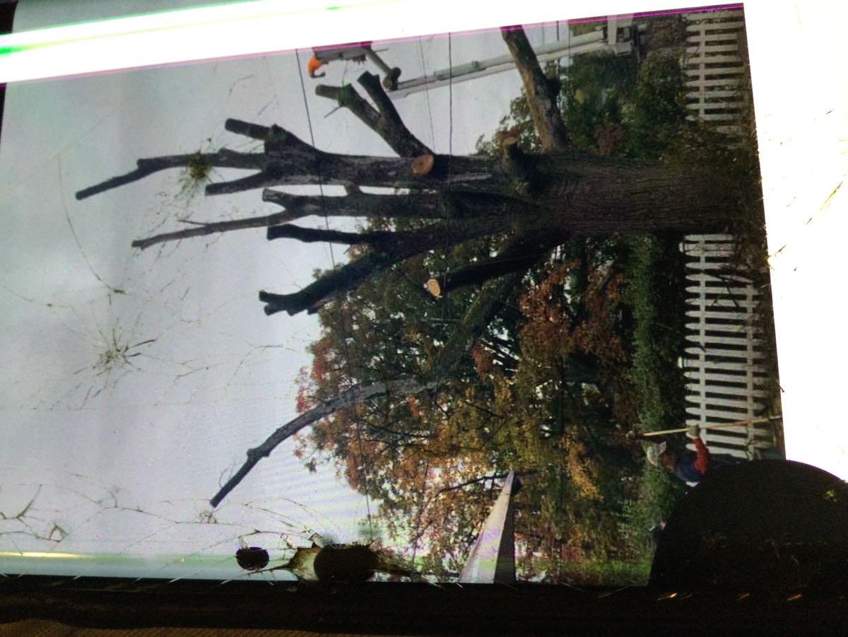 Barrs Tree Service Altoona, PA Nextdoor