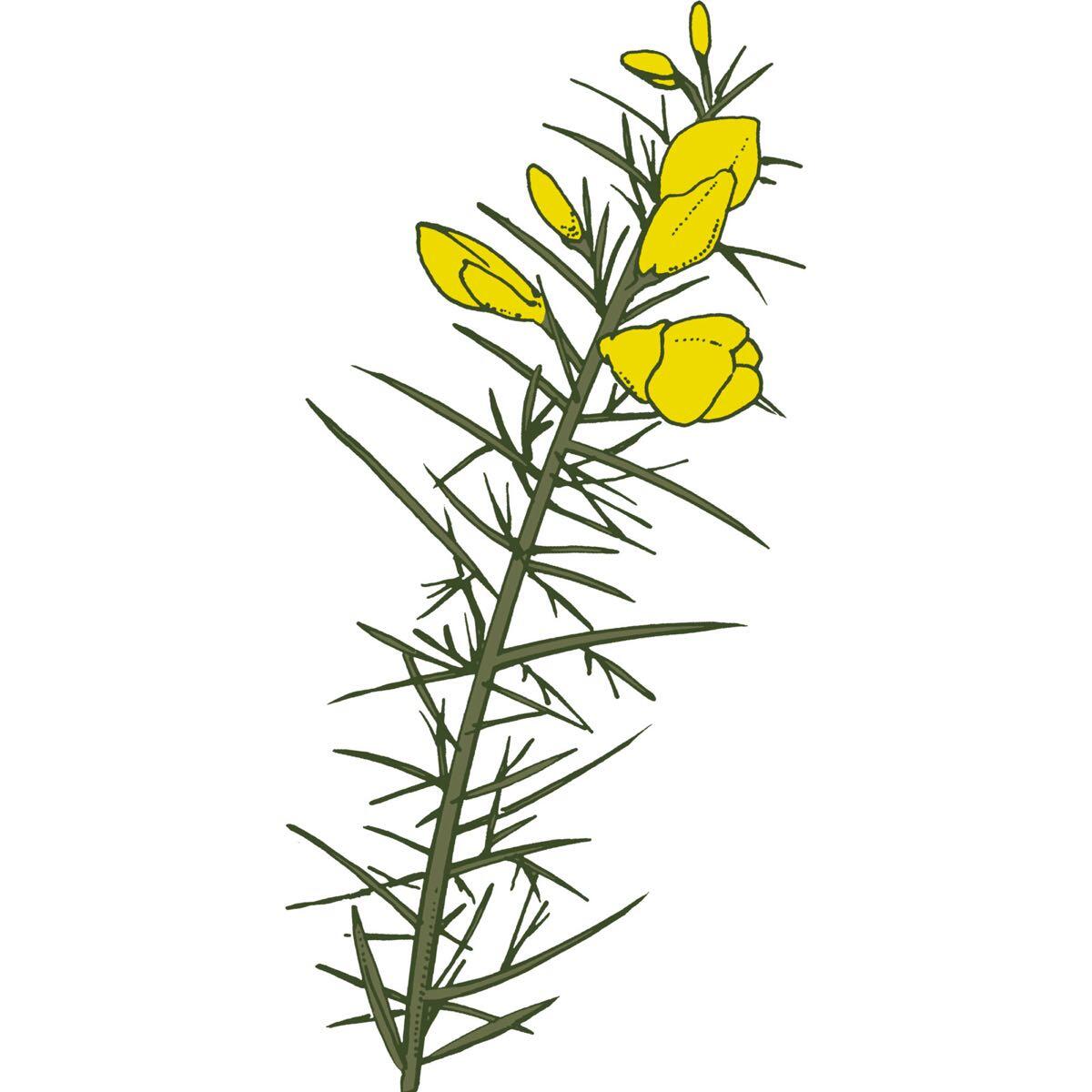 Fursdon House, Gardens & Tea Room Exeter, GBENG Nextdoor