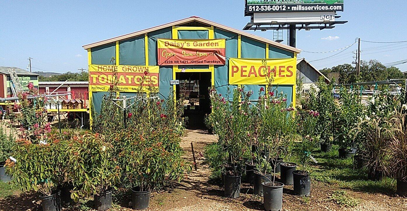 Daisy's Garden Kingsland, TX Nextdoor