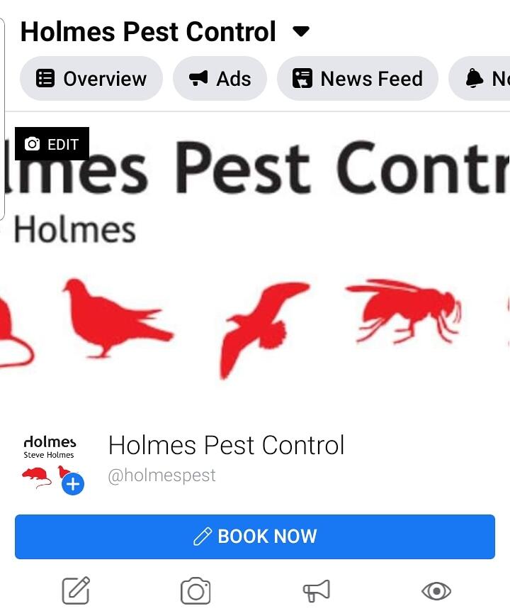 Holmes Pest Control Forest Row England Nextdoor