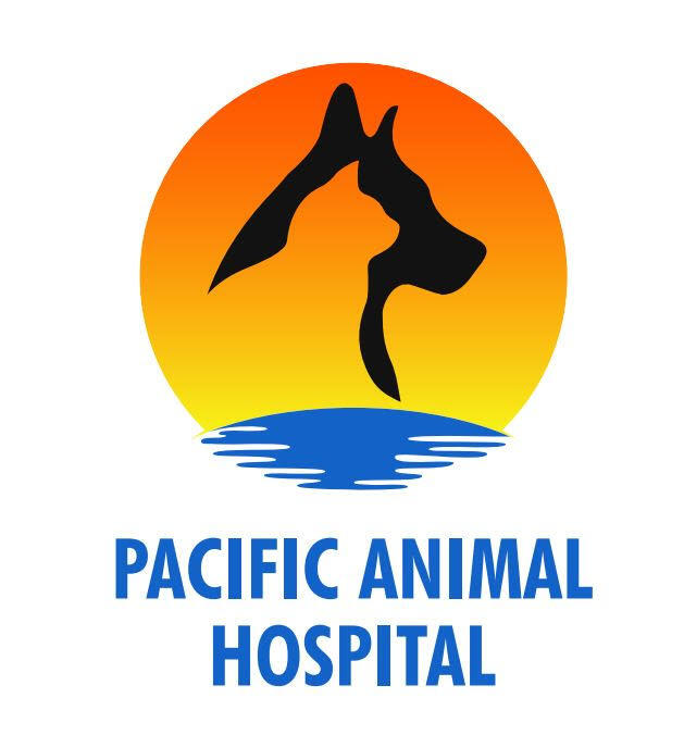 Pacific Animal Hospital - Redondo Beach, CA - Nextdoor