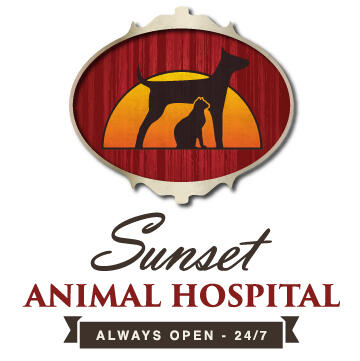 sunset animal clinic houston