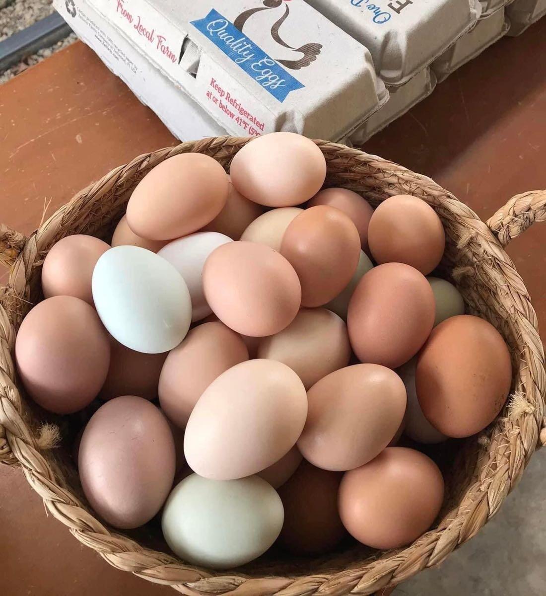 Jersey Girl Farm (Fresh Farm Eggs & Chicks in Spring) Trinity, NC