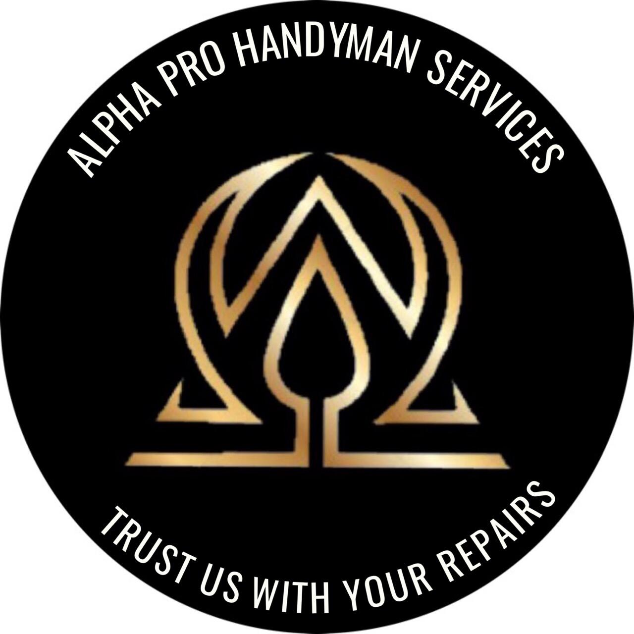 Alpha Pro Handyman Services Fermin Miranda Kissimmee FL