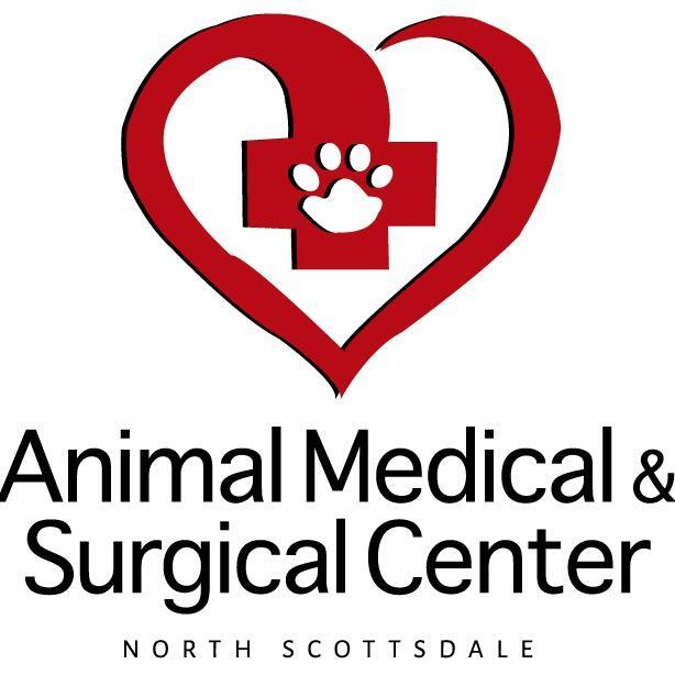 Animal medical hot sale and surgical