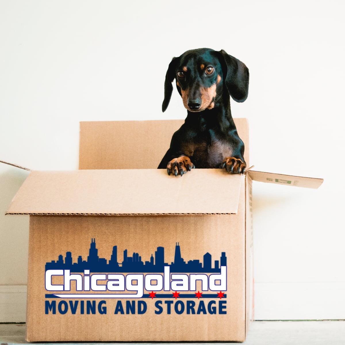 Storage Containers Chicagoland