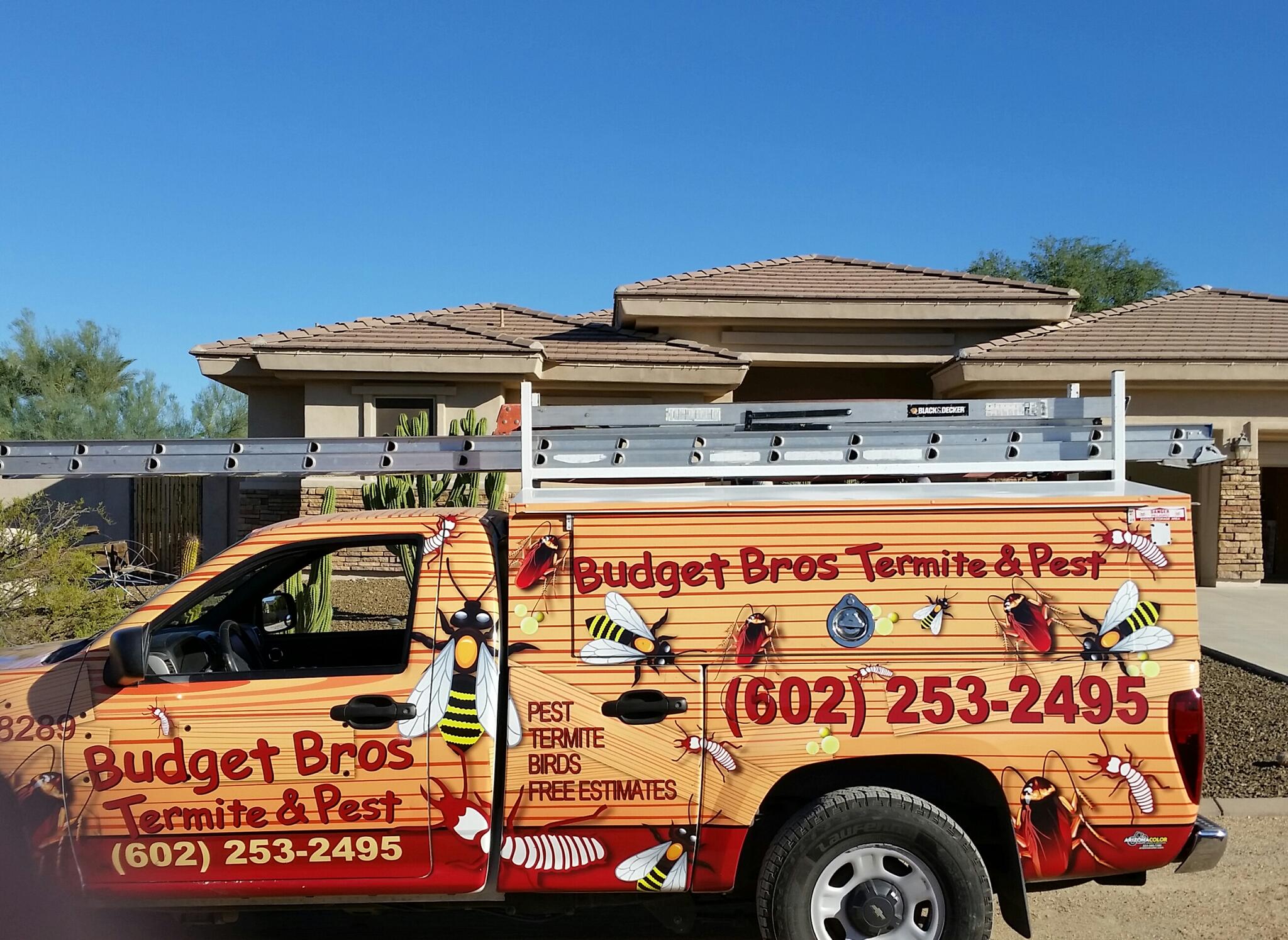 Budget brothers termite and pest elimination phoenix reviews