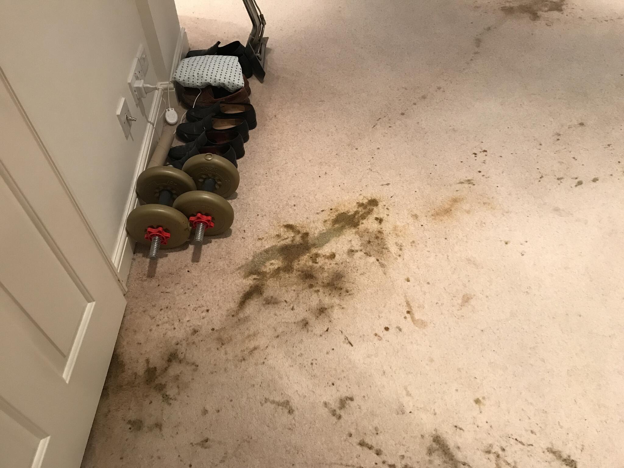 MD Upholstery and Carpet Cleaning Harrogate Nextdoor