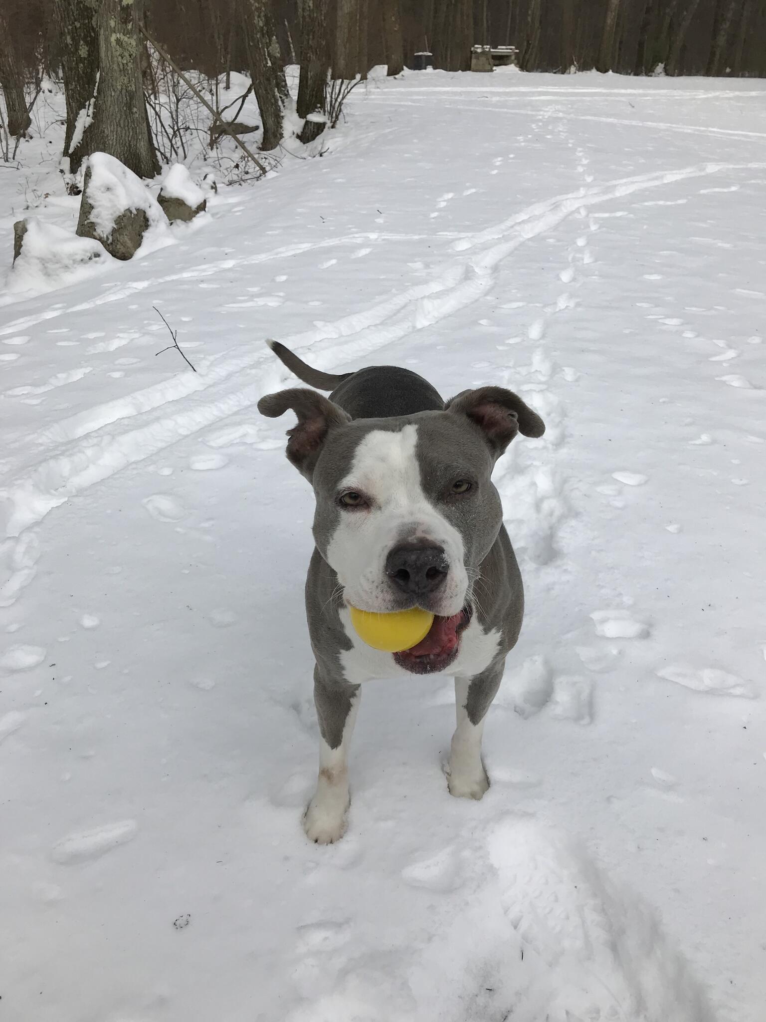 NAILED IT HOME REPAIR LLC Worcester, MA Nextdoor