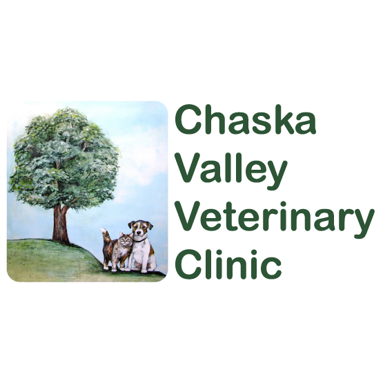 Cannon valley hot sale veterinary clinic