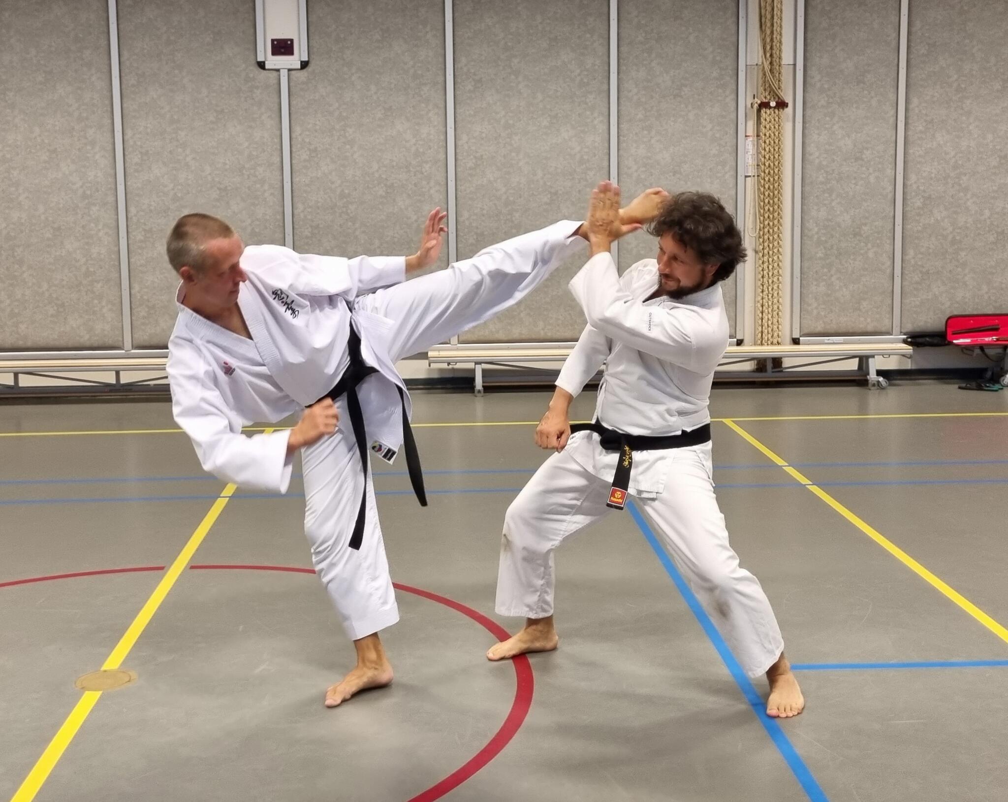 Goju Kyoryoku Karate Rotterdam, ZuidHolland Nextdoor