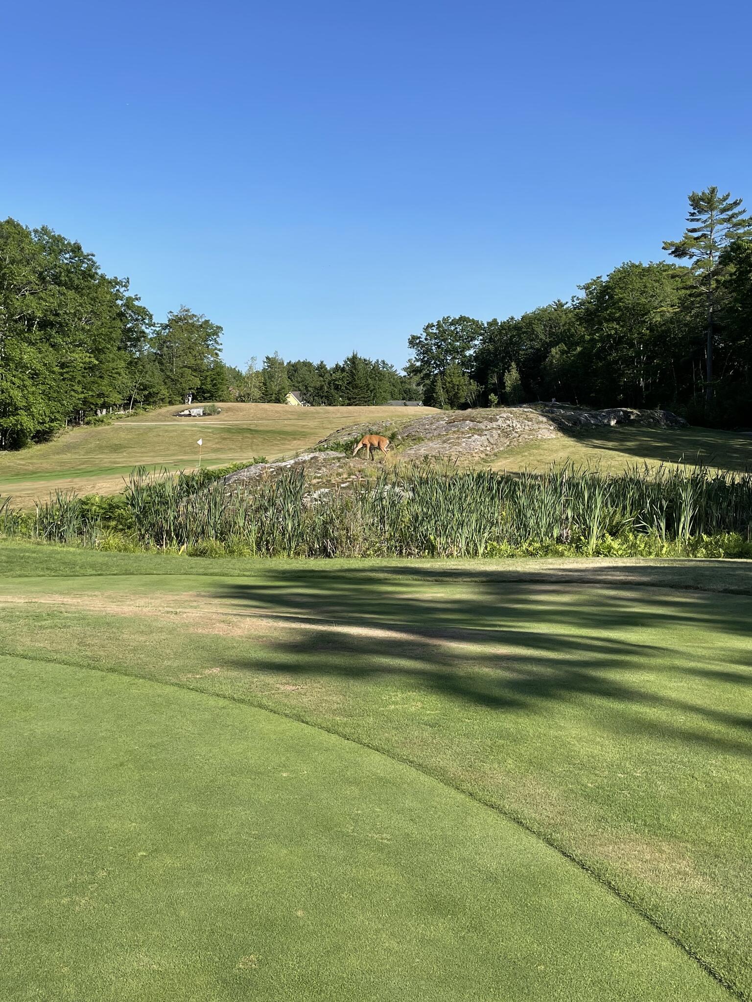 Landscaping Bath, ME Nextdoor
