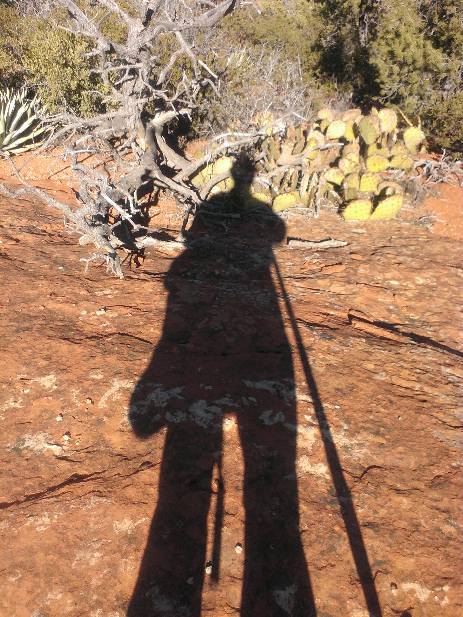 Green Valley Handyman Services Green Valley, AZ Nextdoor