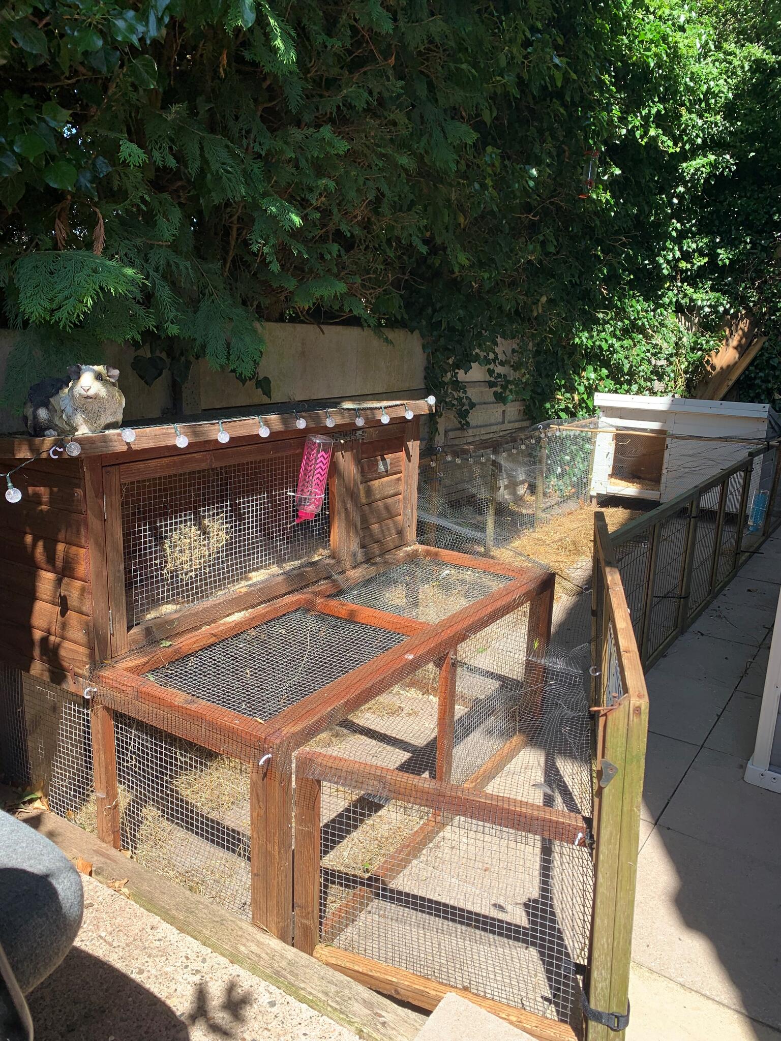 Happy Home Boarding Telford Nextdoor