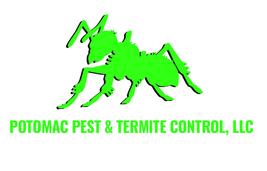 Potomac Pest and Termite control - Nextdoor