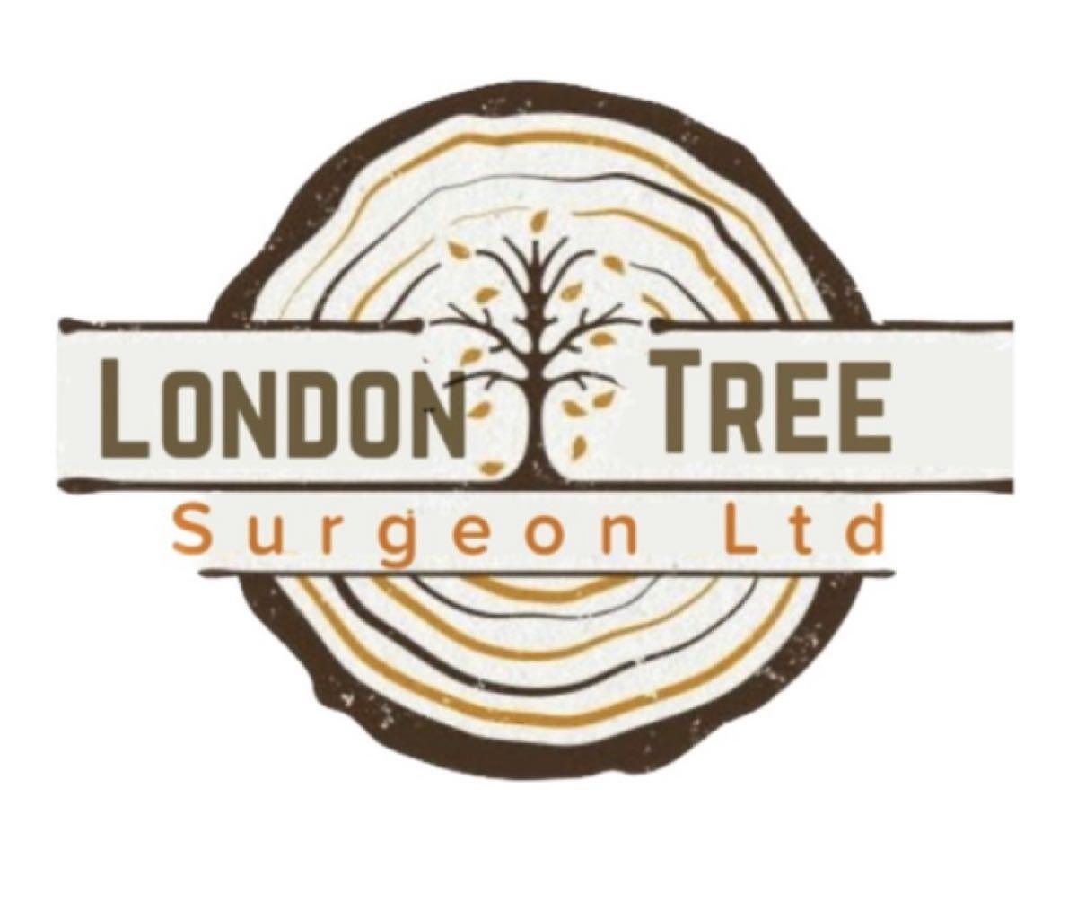 London Tree Surgeon Ltd London Borough of GBENG Nextdoor