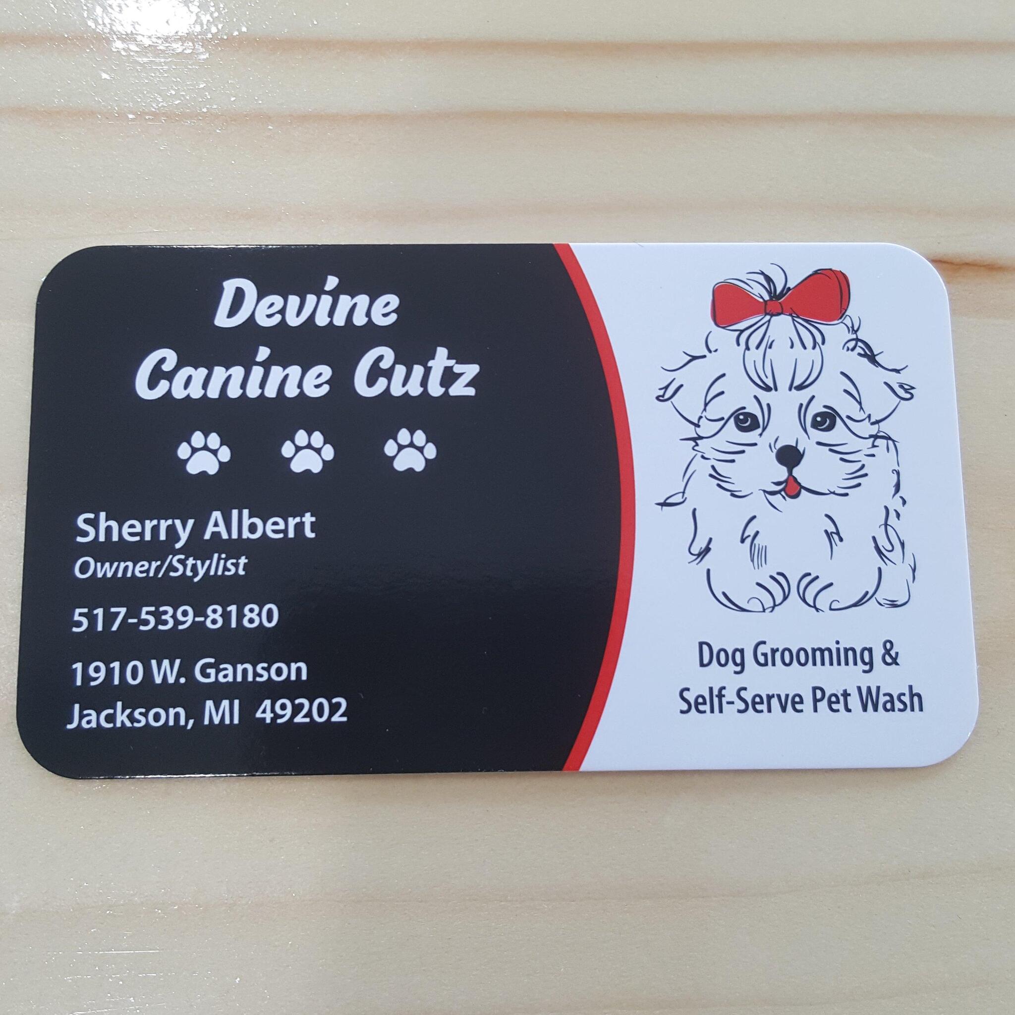 Devine Canine Cutz Jackson MI Nextdoor