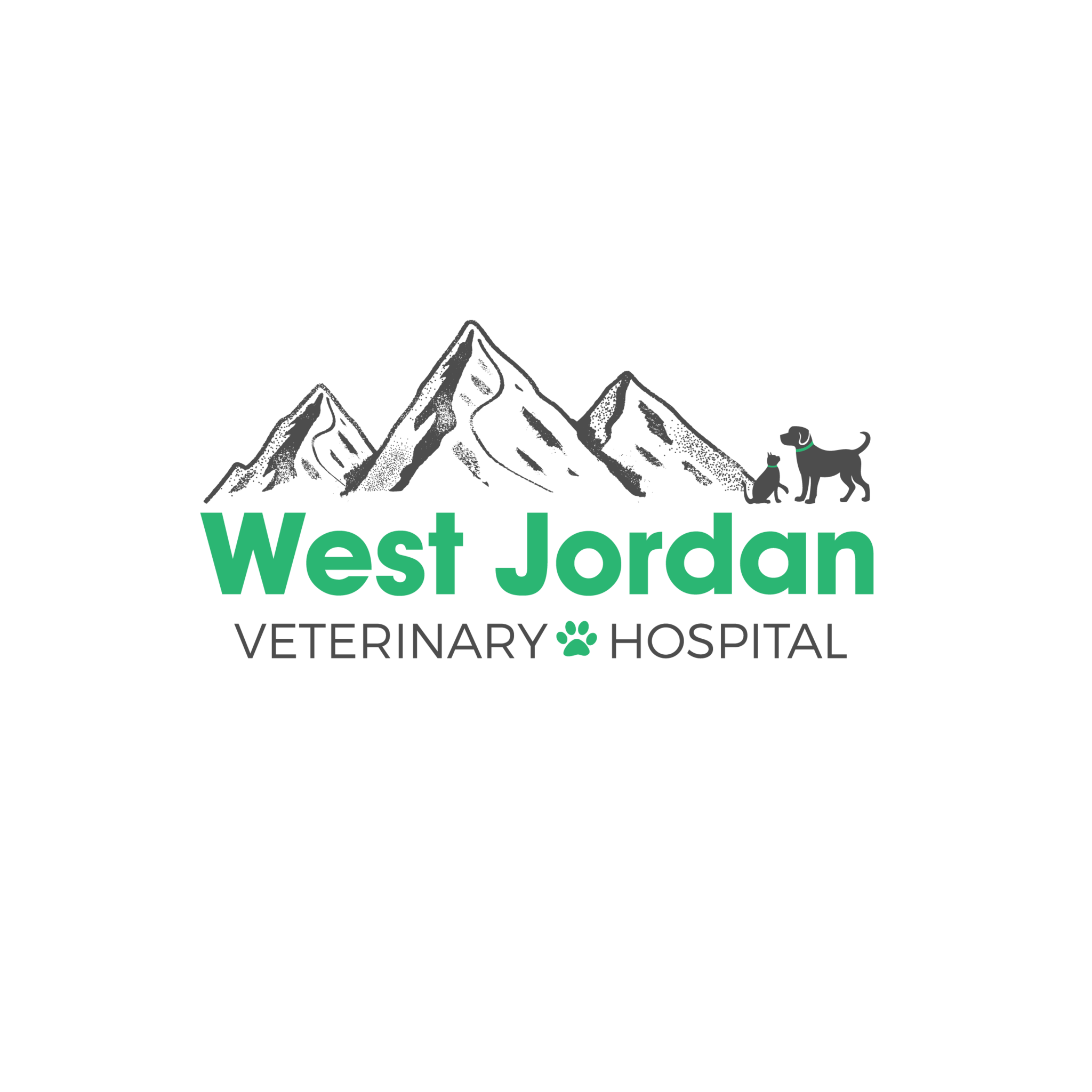 Vca amor deals animal hospital