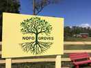NOFO Groves Nursery