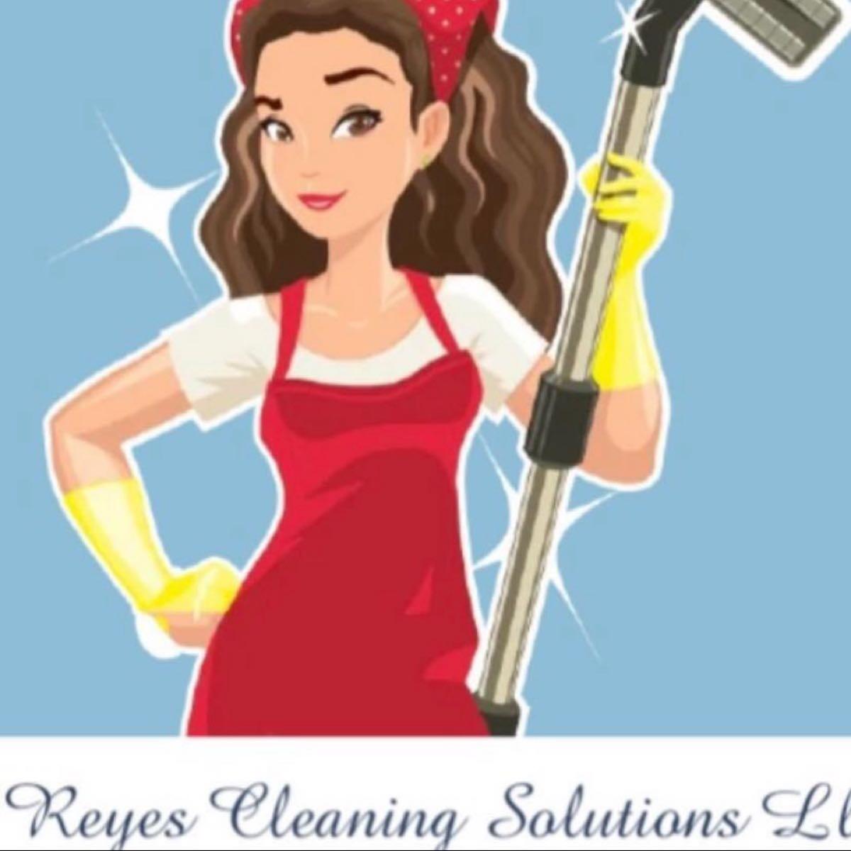 Reyes cleaning solution Baltimore, OH Nextdoor