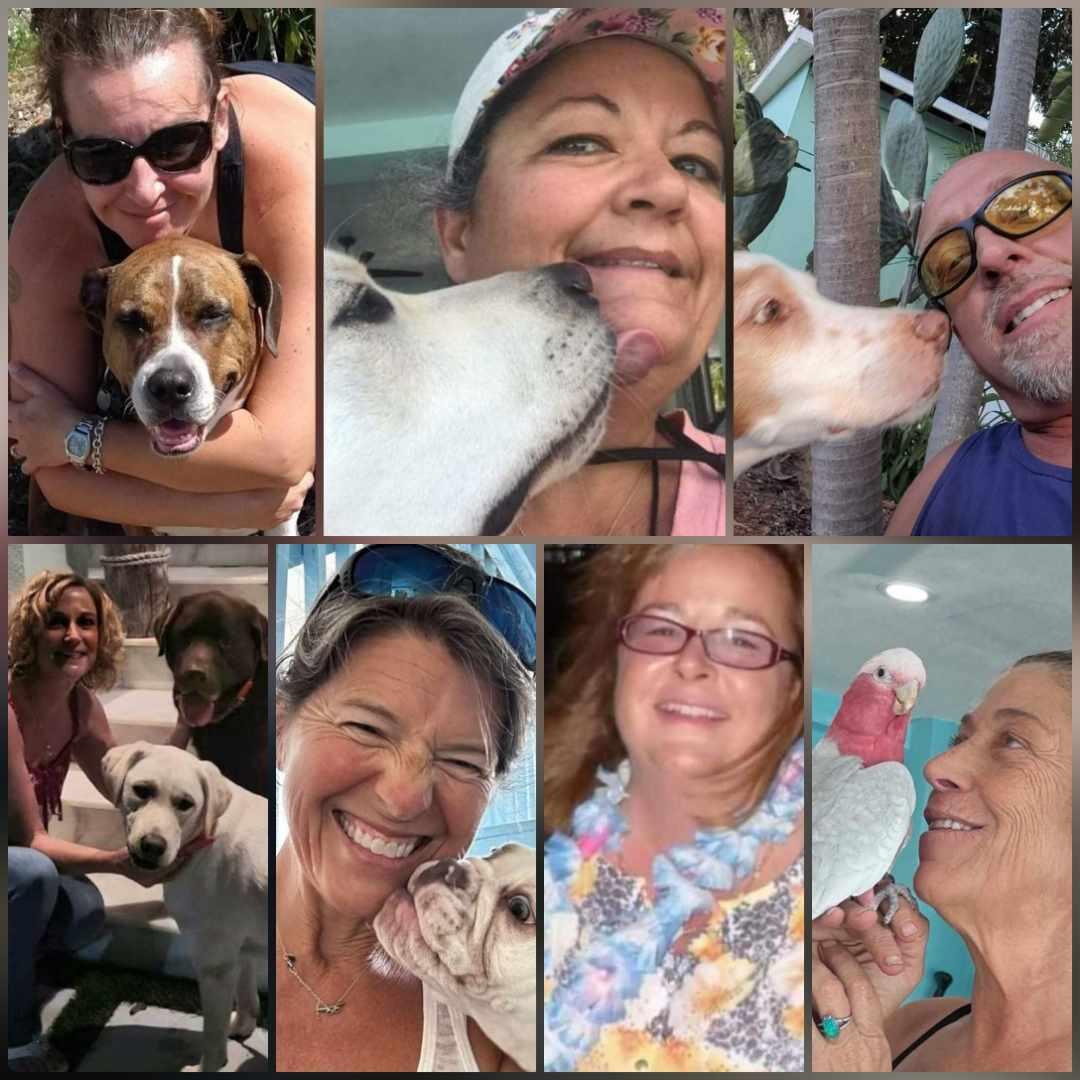 Key Largo Pet Sitter Nextdoor