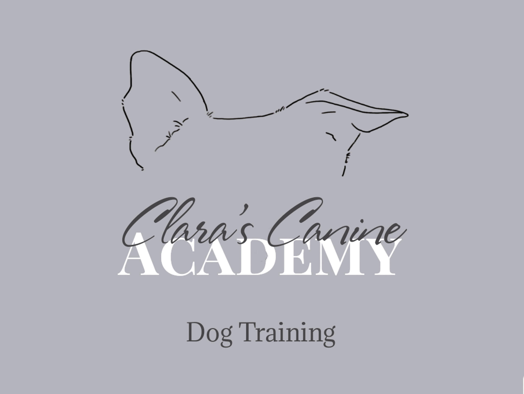 clara-s-canine-academy-woking-gb-eng-nextdoor