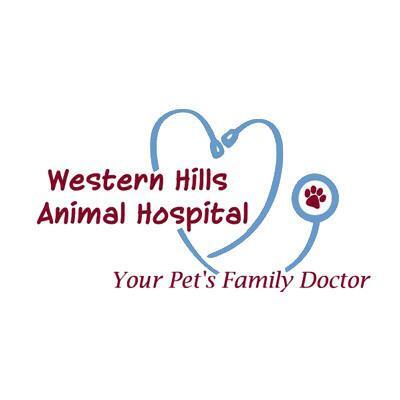 Callfield best sale animal hospital