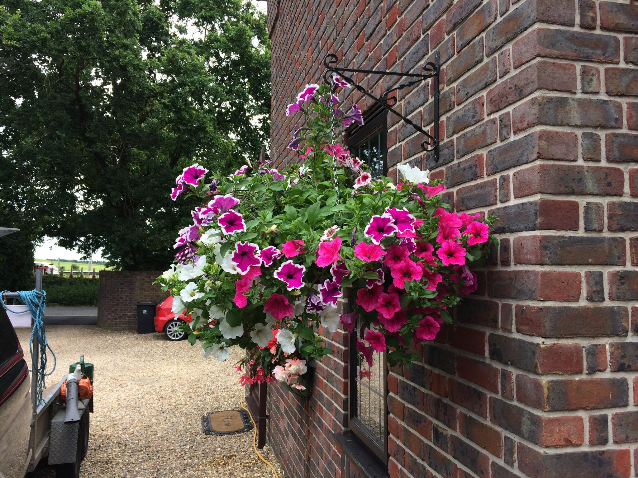 St Ives Garden Services Ringwood, Hampshire Nextdoor