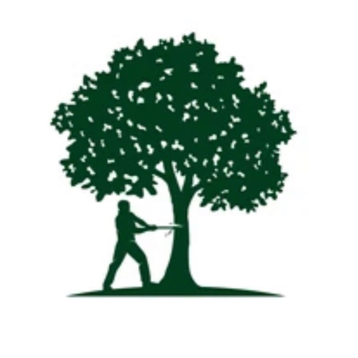 ABX Padilla Tree Services - Nextdoor