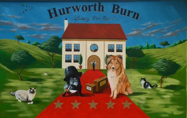 Hurworth burn store luxury pet hotel