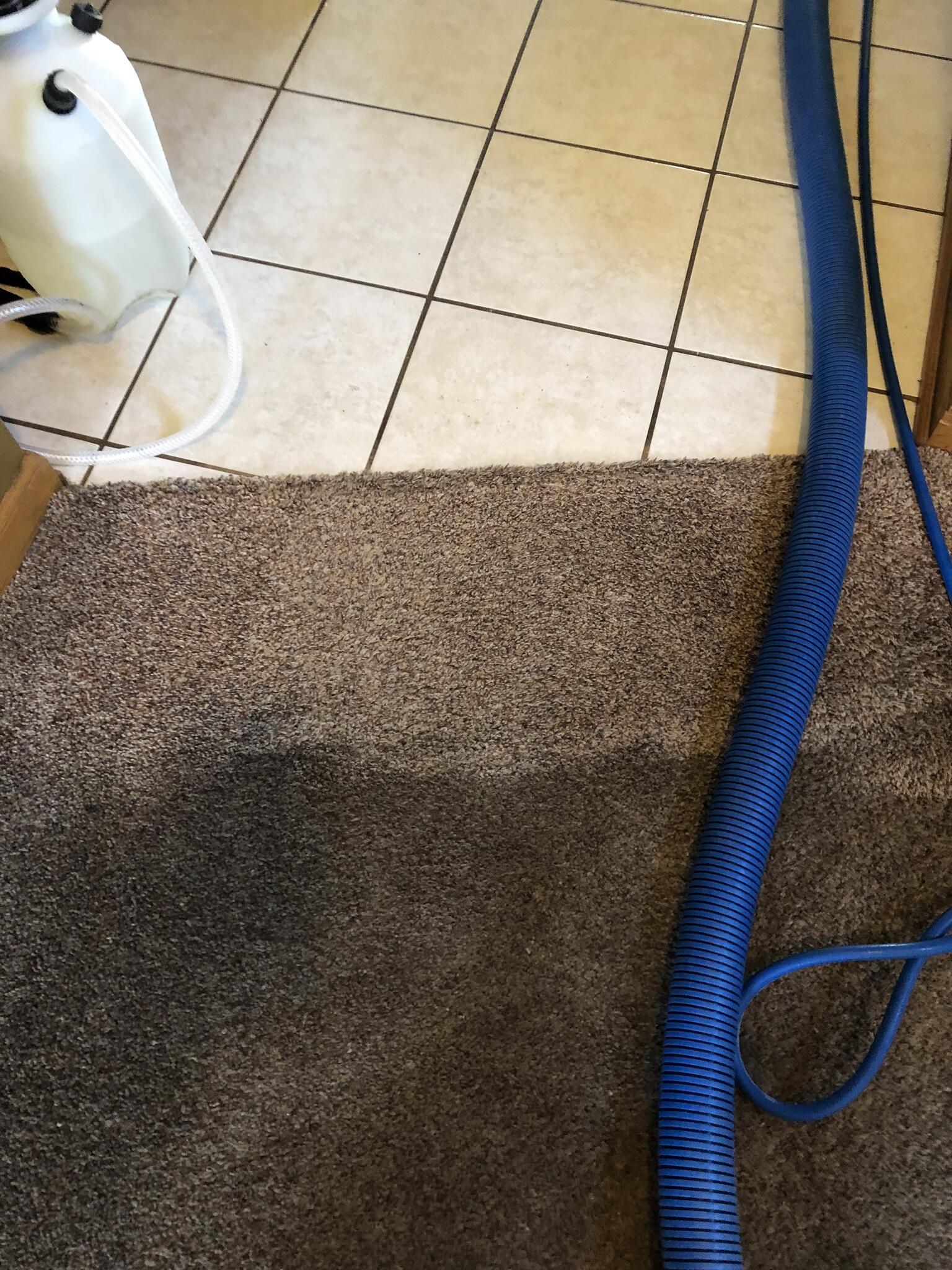 Aj'z Carpet Cleaning & More Highland, IN Nextdoor