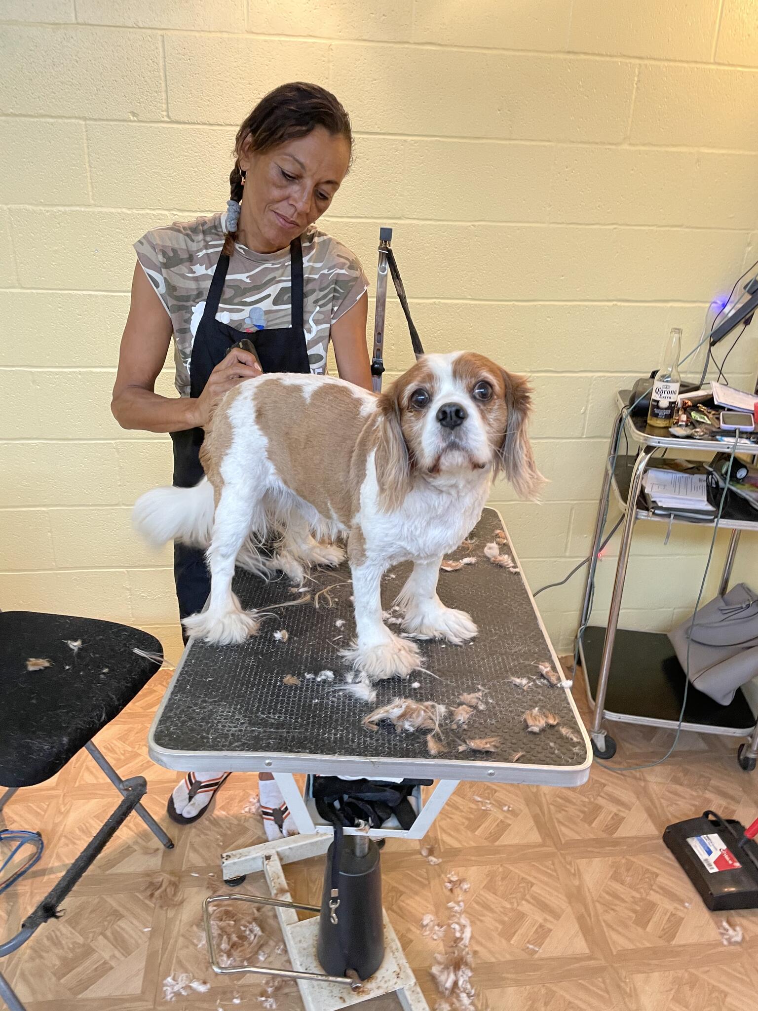 AllStar Groomers powered by Legacy Pet Care Houston, TX Nextdoor