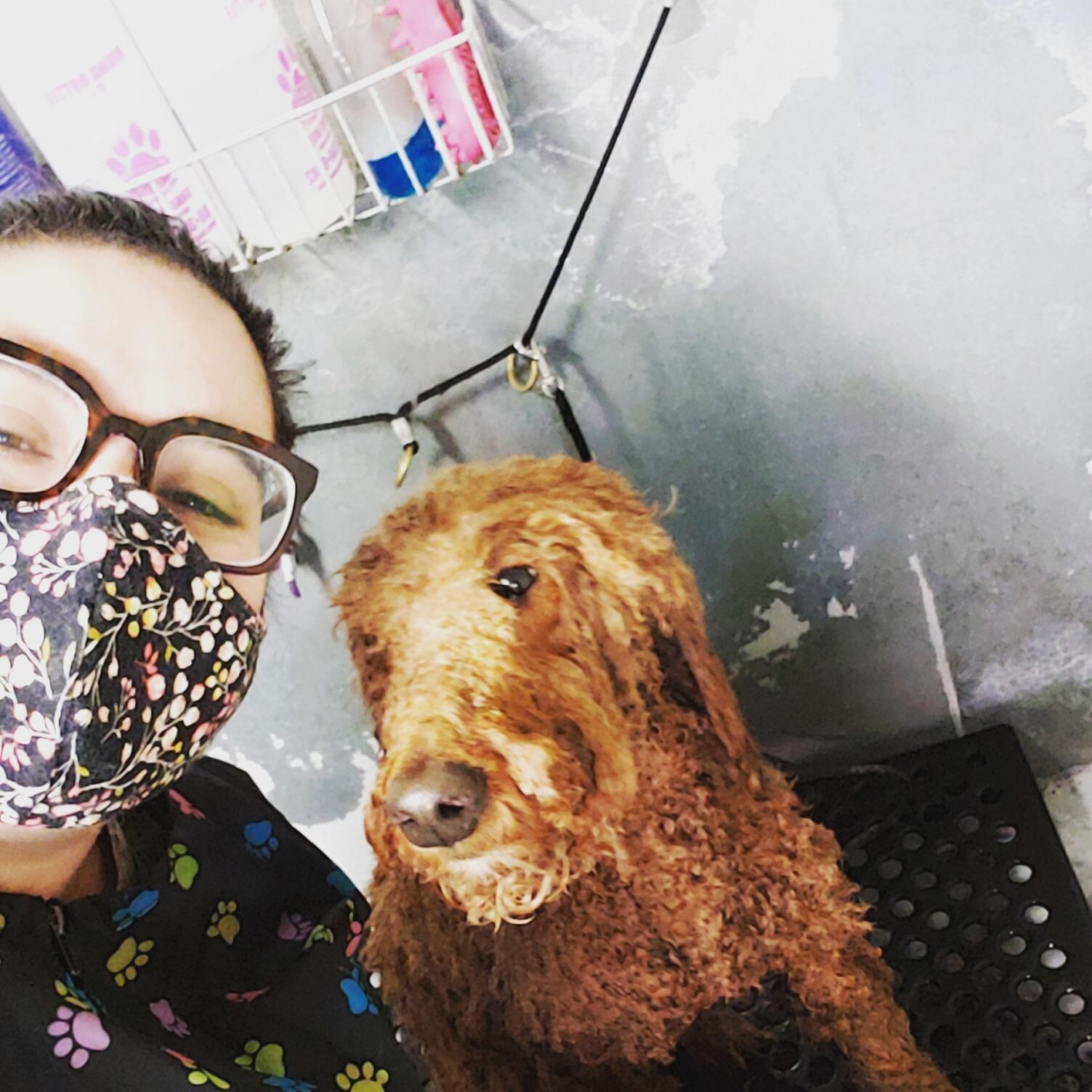 Evansville Pet Grooming & Paws World Evansville, IN Nextdoor