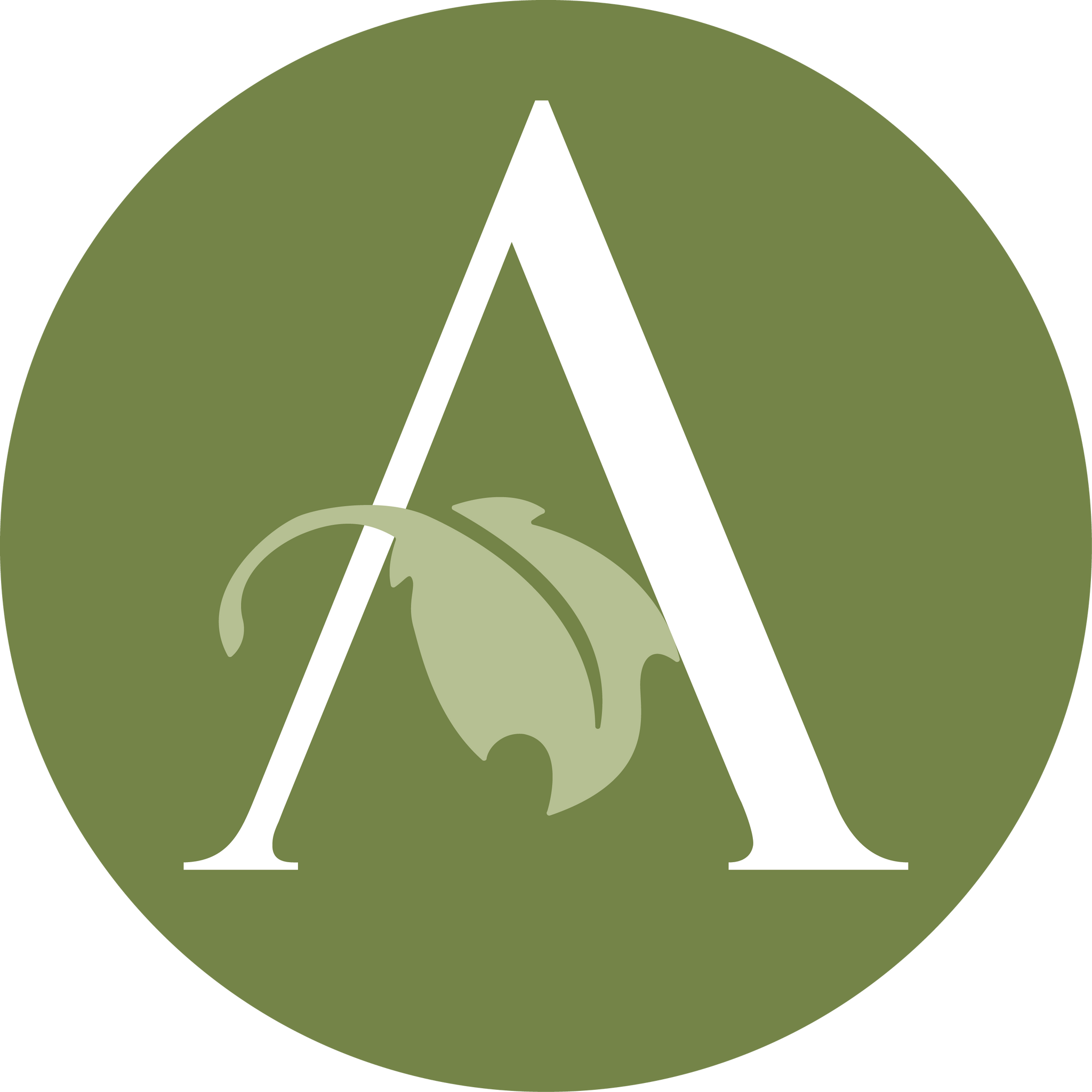 Chantilly, Charlotte | Neighborhood Guide