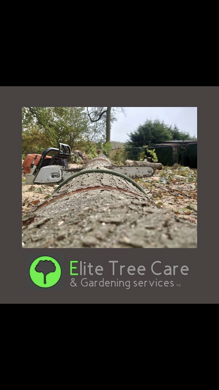 Elite tree care & gardening services Ltd Bexley Nextdoor