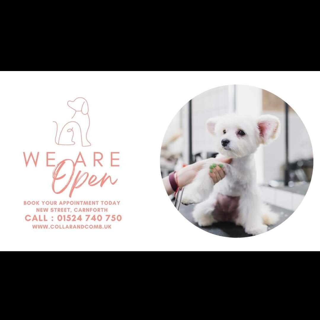 Collar & Comb Carnforth Nextdoor