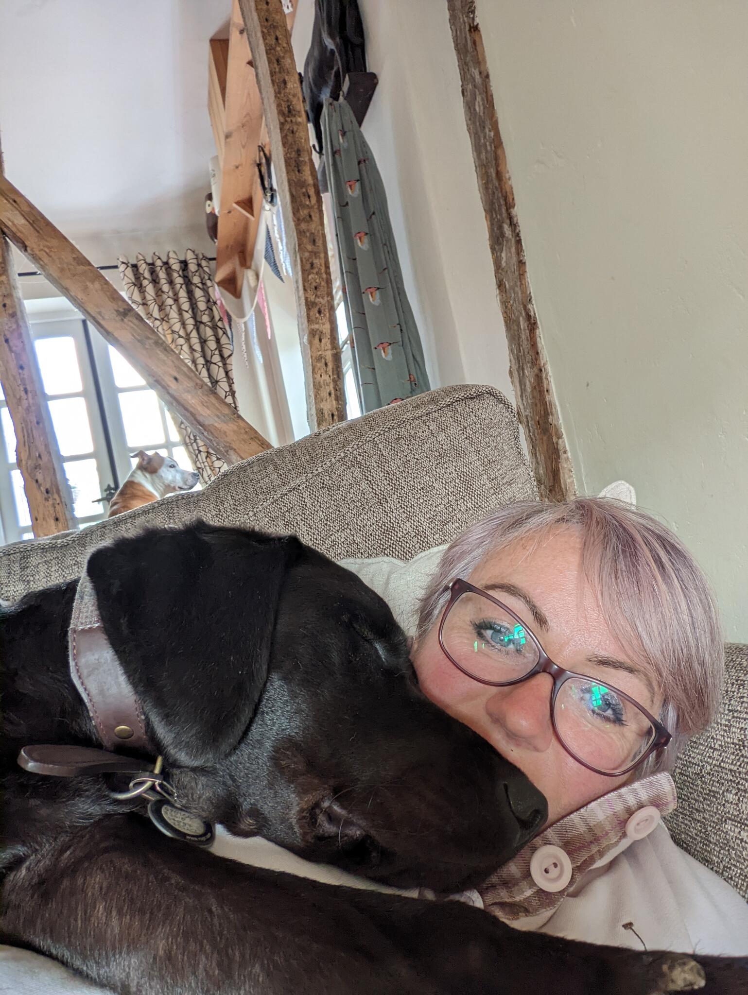 Dog Boarding at the Ranch Colchester, GBENG Nextdoor