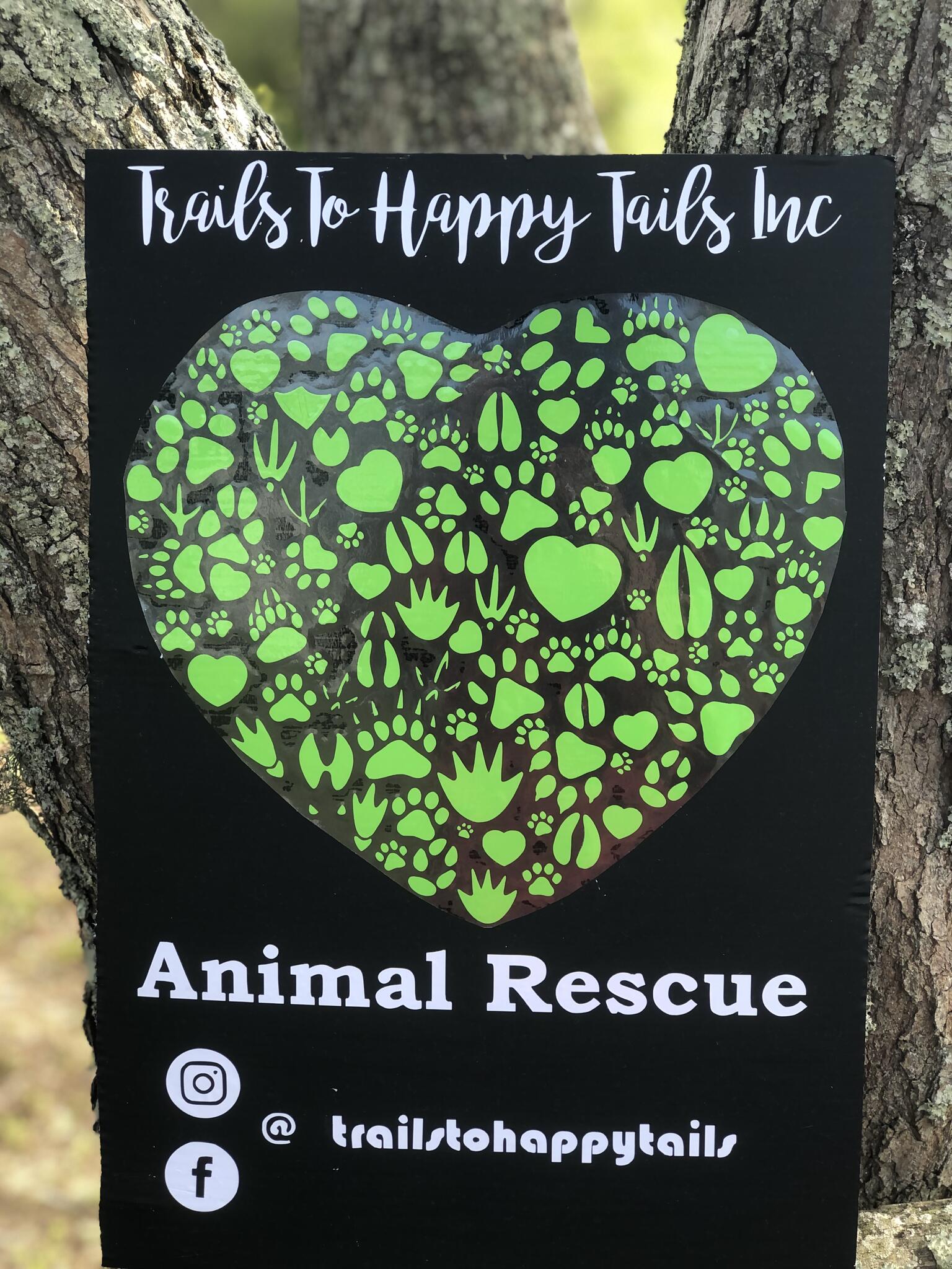 Trails of 2024 happy tails