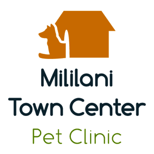 Kilani sales pet clinic