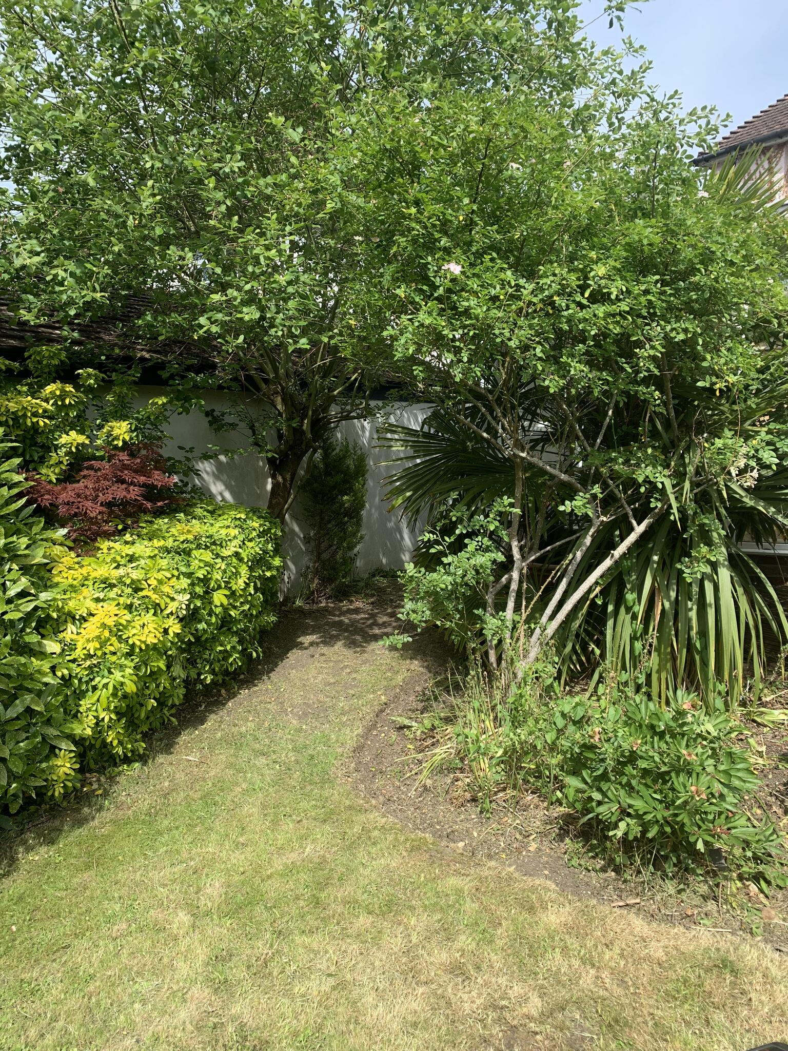 Nicholas fletcher garden maintenance Oxford Nextdoor