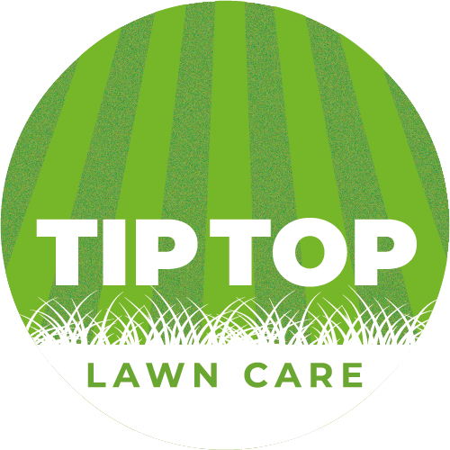Tip Top Lawn Care Eye Nextdoor