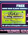 Ray's rooftop moss removal