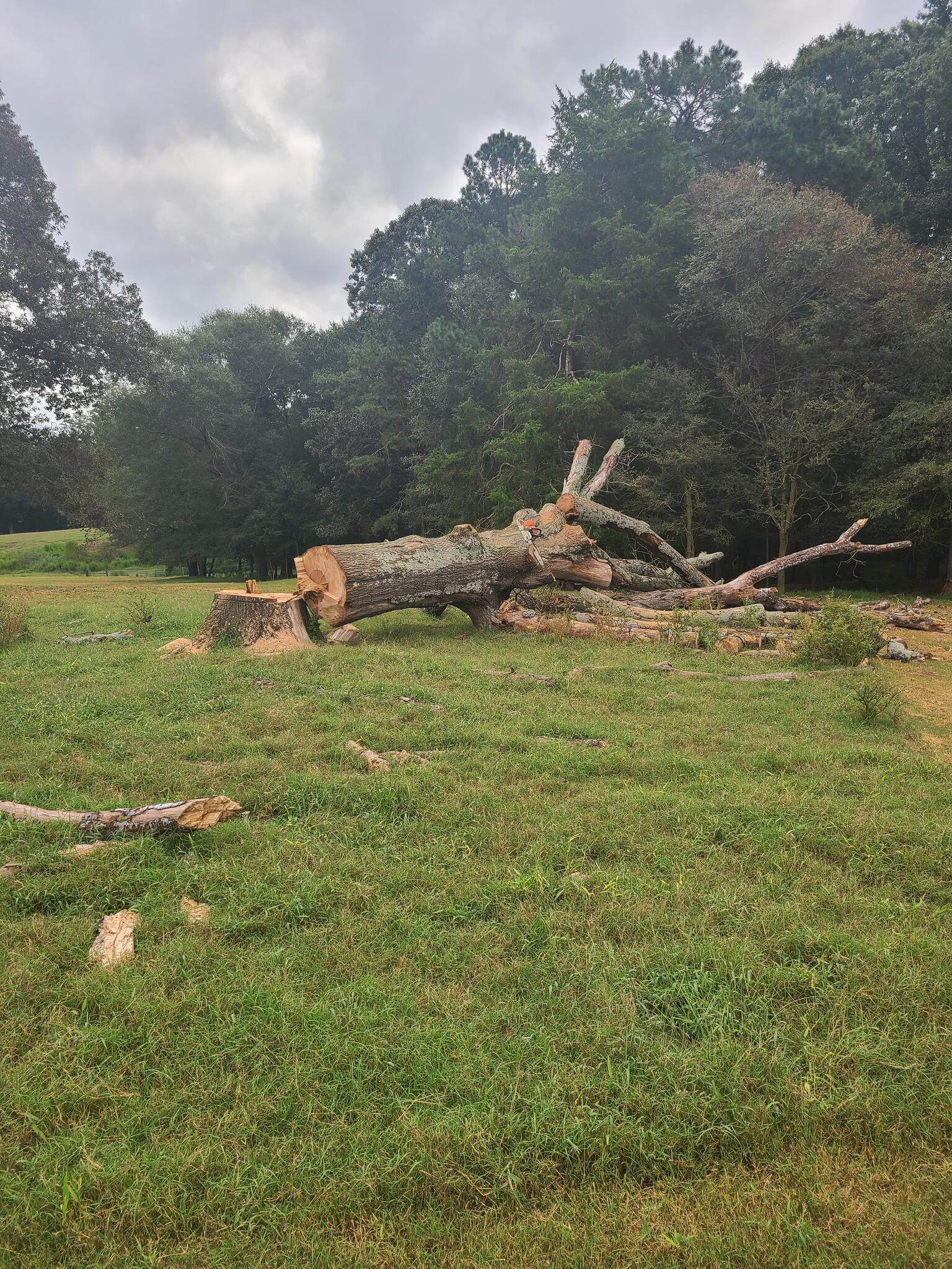 Paul Tate Jefferson, GA Nextdoor